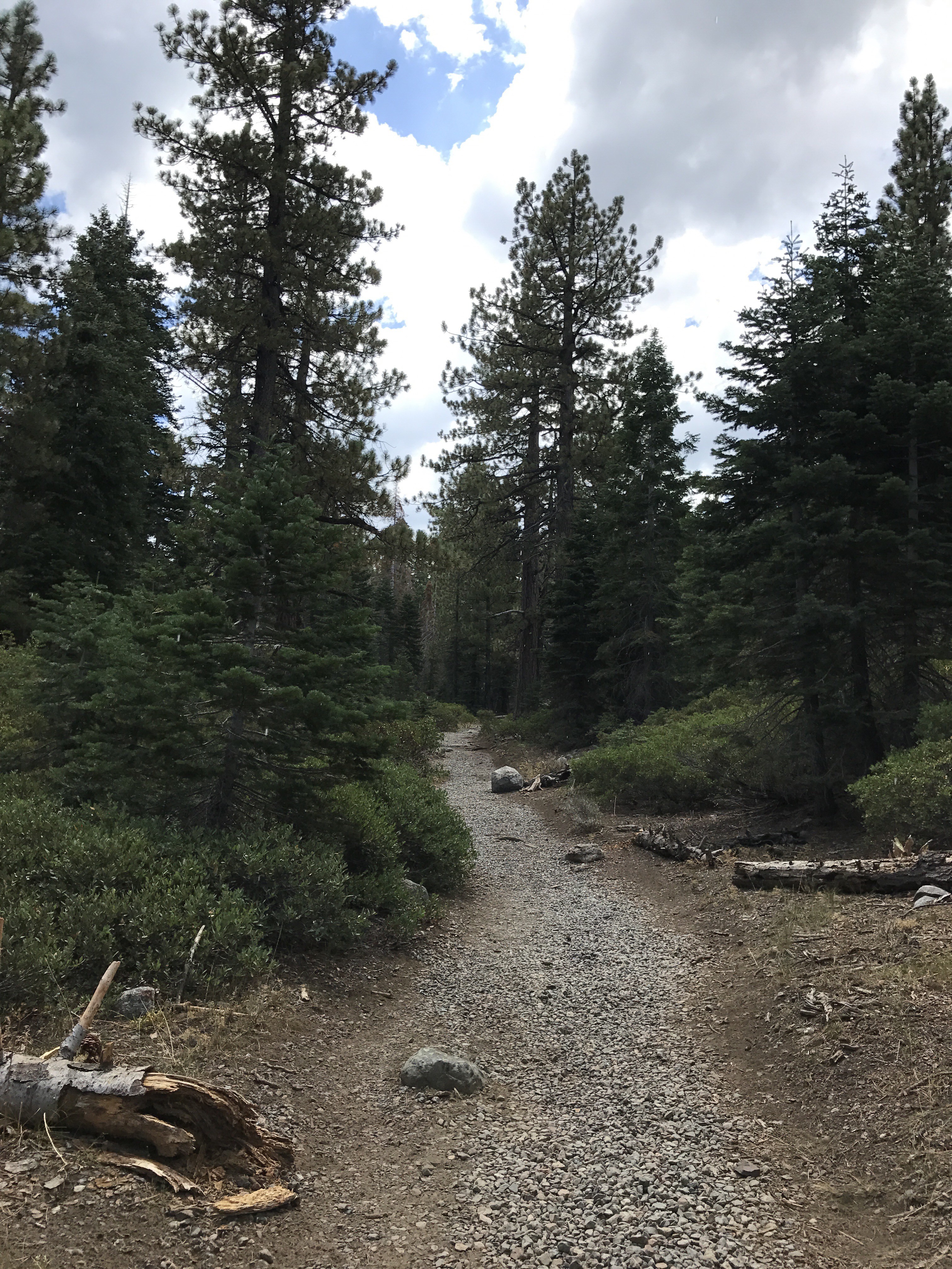 Start of Trail at Mt. Tallac Trailhead - Lake Tahoe 2017.08.22