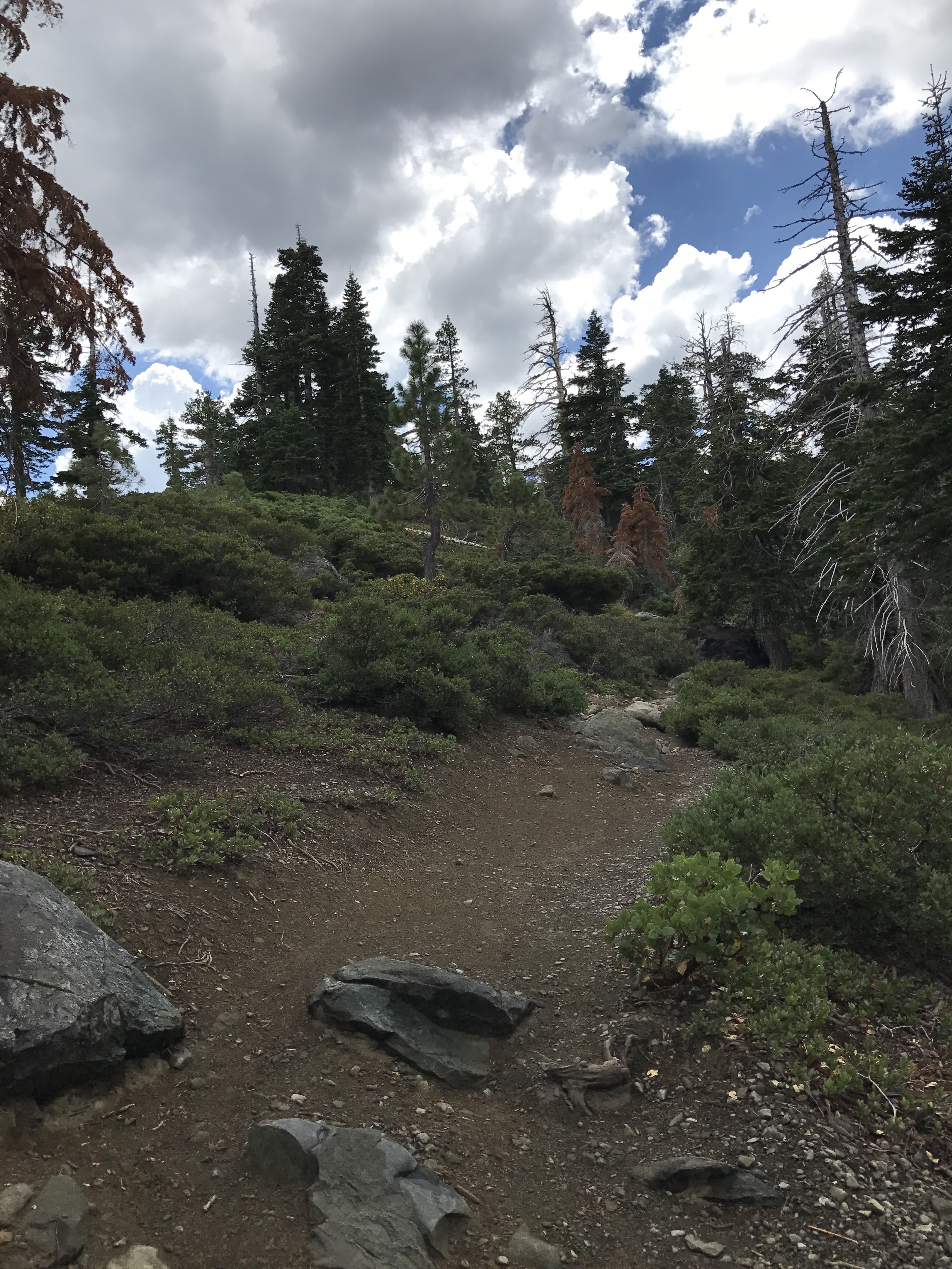 Mount Tallac Trail climbs away from lake - Lake Tahoe 2017.08.22