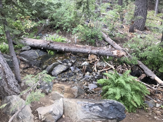 Small creek to cross - Lake Tahoe 2017.08.22