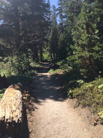 The trail continues upward, mostly in a southwest direction. 8/25/2016 Lake Tahoe