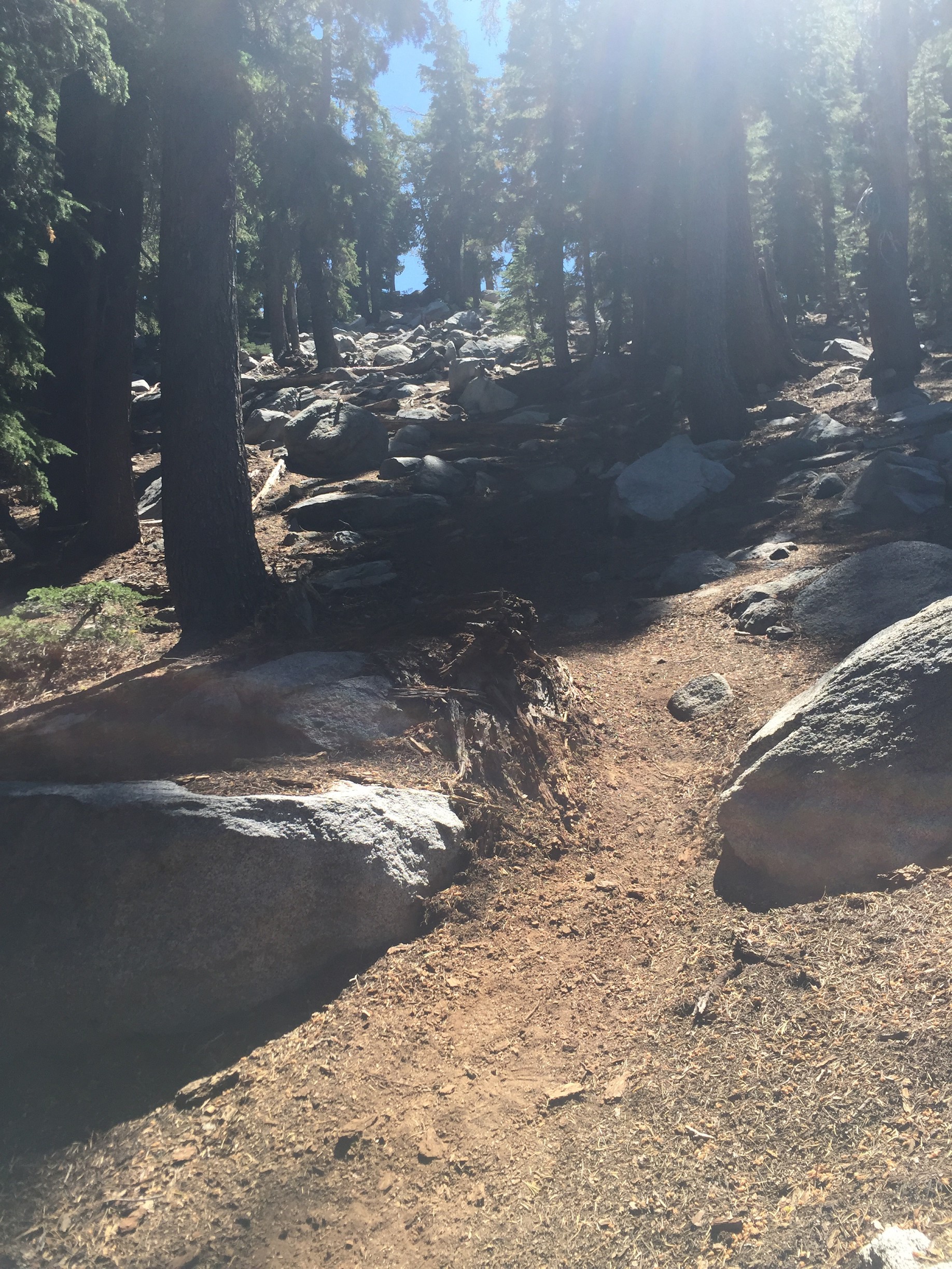 Some of the climb up to Maggie's Peaks is very steep and lined with loose dirt. 8/25/2016 Lake Tahoe