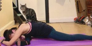 Pigeon pose with cat